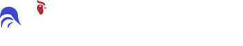 RAP Immobilier
