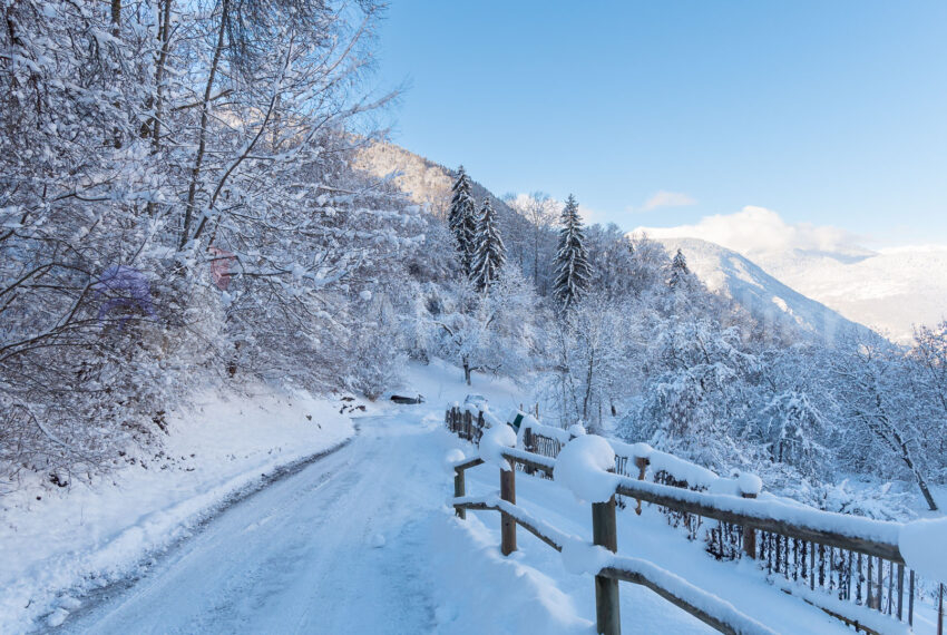 (65) Village snowy-3